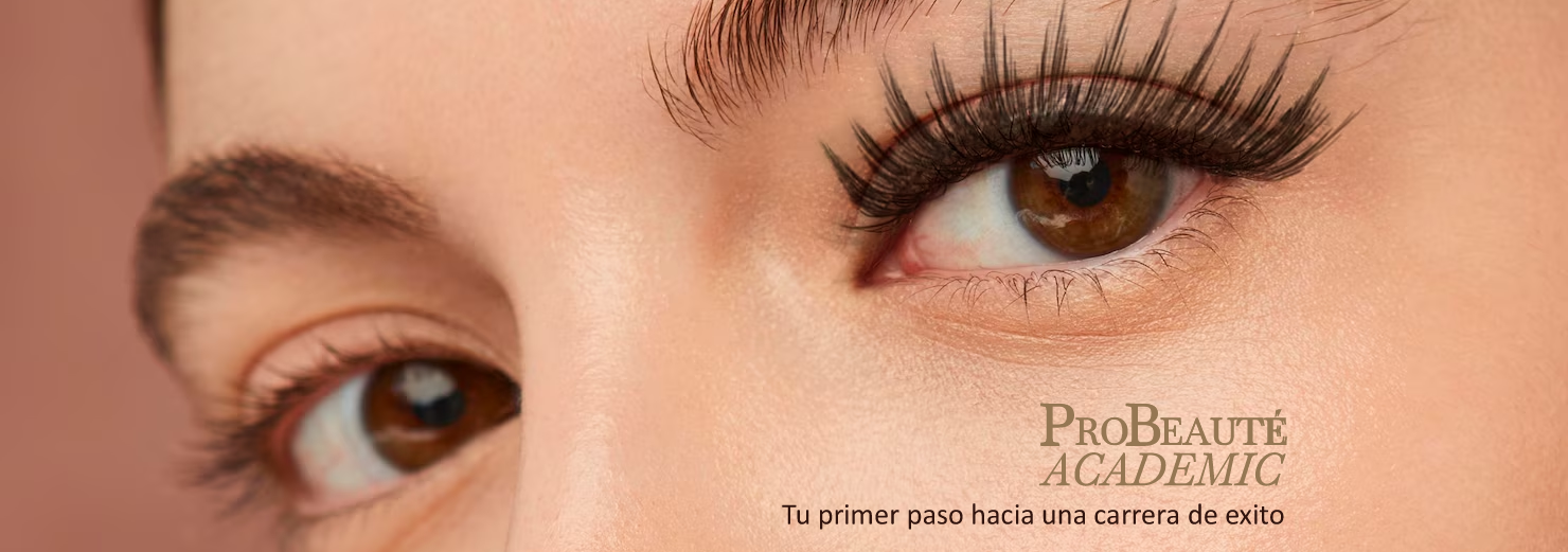 InPut Creativity SL Logotipo